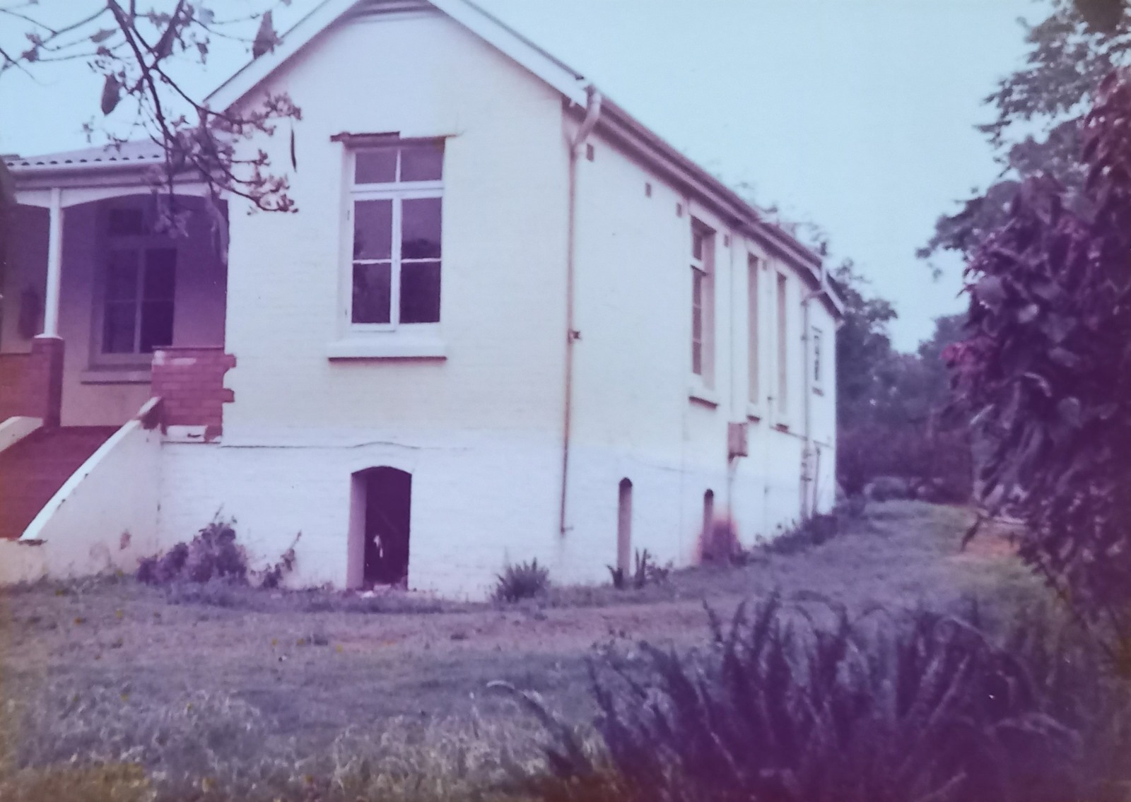 c3d4c263-c016-4012-b5d5-83fef04da393